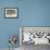 Adult Dolphin Gulls (Leucophaeus Scoresbii) Amongst Chick Creche, Falkland Islands-Michael Nolan-Framed Photographic Print displayed on a wall