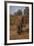 Adult Elephant-DLILLC-Framed Photographic Print