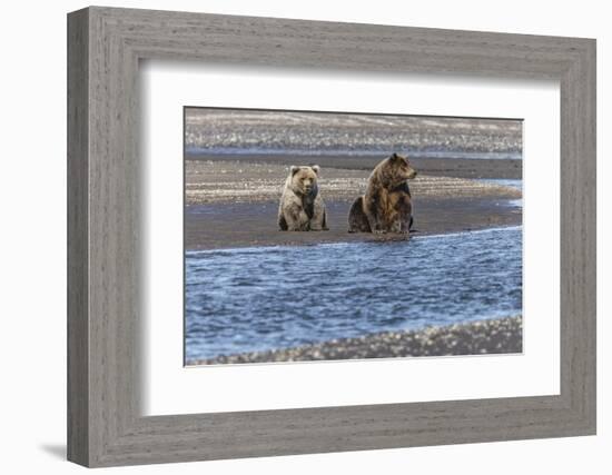 Adult female grizzly bear and cub fishing, Lake Clark National Park and Preserve, Alaska-Adam Jones-Framed Photographic Print