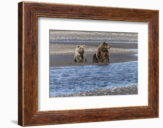 Adult female grizzly bear and cub fishing, Lake Clark National Park and Preserve, Alaska-Adam Jones-Framed Photographic Print