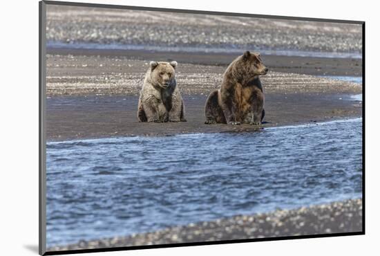 Adult female grizzly bear and cub fishing, Lake Clark National Park and Preserve, Alaska-Adam Jones-Mounted Photographic Print