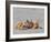 Adult ghost crab (Ocypode spp), on the beach at Isla Magdalena, Baja California Sur, Mexico-Michael Nolan-Framed Photographic Print