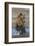 Adult grizzly bear chasing fish, Lake Clark National Park and Preserve, Alaska, Silver Salmon Creek-Adam Jones-Framed Photographic Print