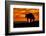 Adult grizzly bear silhouetted at sunrise, Lake Clark National Park and Preserve, Alaska.-Adam Jones-Framed Photographic Print