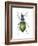 Adult Ground Beetle (Carabidae,), Insects-Encyclopaedia Britannica-Framed Art Print