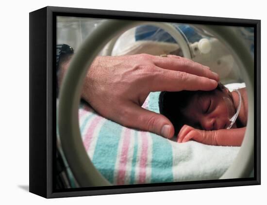 Adult Hand Touching Tiny Head of Baby, Born Addicted to Crack Cocaine, in Hospital Incubator-Ted Thai-Framed Premier Image Canvas
