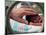 Adult Hand Touching Tiny Head of Baby, Born Addicted to Crack Cocaine, in Hospital Incubator-Ted Thai-Mounted Photographic Print
