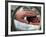 Adult Hand Touching Tiny Head of Baby, Born Addicted to Crack Cocaine, in Hospital Incubator-Ted Thai-Framed Photographic Print