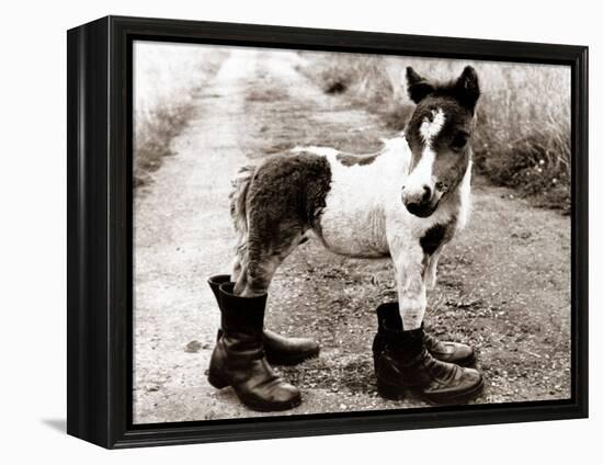Adult Horse with Giant Boots-null-Framed Premier Image Canvas