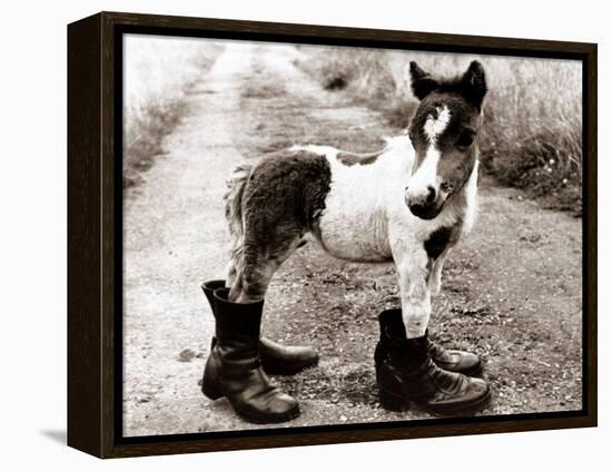 Adult Horse with Giant Boots-null-Framed Premier Image Canvas