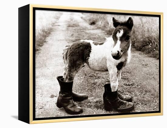 Adult Horse with Giant Boots-null-Framed Premier Image Canvas