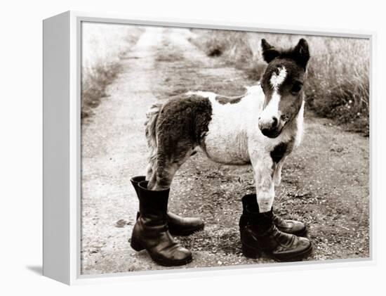 Adult Horse with Giant Boots-null-Framed Premier Image Canvas