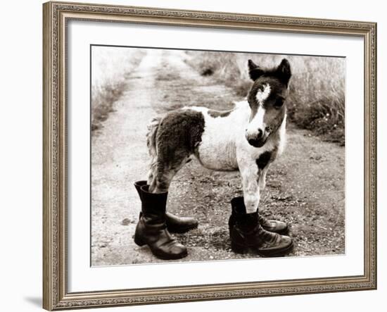 Adult Horse with Giant Boots-null-Framed Premium Photographic Print