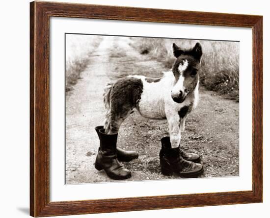 Adult Horse with Giant Boots-null-Framed Premium Photographic Print