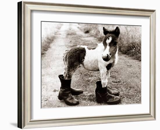 Adult Horse with Giant Boots-null-Framed Photographic Print