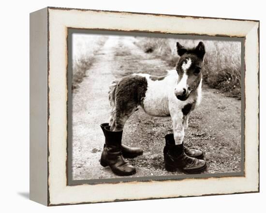 Adult Horse with Giant Boots-null-Framed Premier Image Canvas