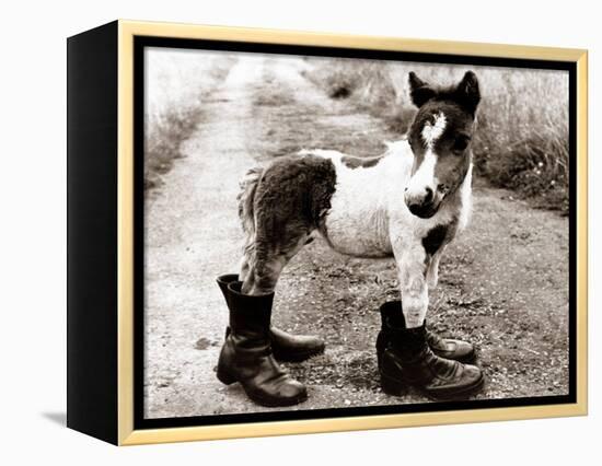 Adult Horse with Giant Boots-null-Framed Premier Image Canvas