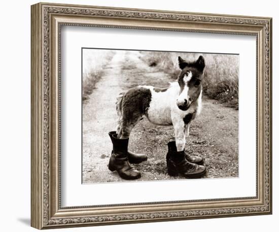 Adult Horse with Giant Boots-null-Framed Photographic Print