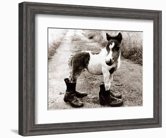 Adult Horse with Giant Boots-null-Framed Photographic Print