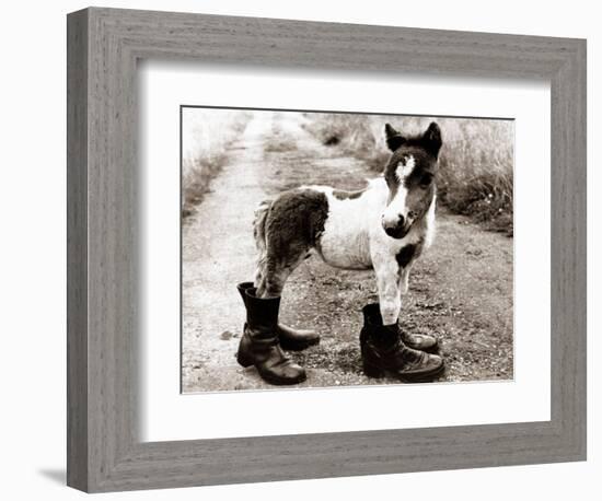 Adult Horse with Giant Boots-null-Framed Photographic Print