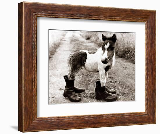 Adult Horse with Giant Boots-null-Framed Photographic Print