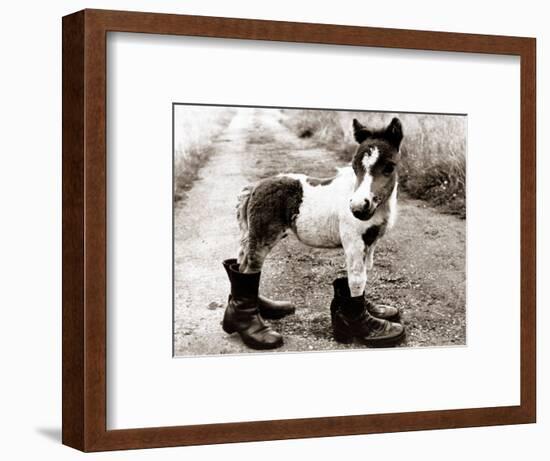 Adult Horse with Giant Boots-null-Framed Photographic Print