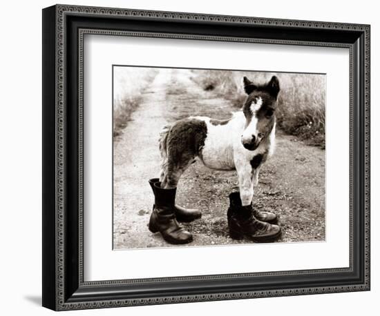 Adult Horse with Giant Boots-null-Framed Photographic Print