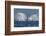 Adult Humpback Whale (Megaptera Novaeangliae), Breaching in the Shallow Waters of Cabo Pulmo-Michael Nolan-Framed Photographic Print