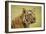 Adult Indochinese Tiger.-Dmitry Chulov-Framed Photographic Print