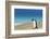 Adult king penguin (Aptenodytes patagonicus) on the grassy slopes of Saunders Island, Falkland Isla-Michael Nolan-Framed Photographic Print