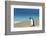 Adult king penguin (Aptenodytes patagonicus) on the grassy slopes of Saunders Island, Falkland Isla-Michael Nolan-Framed Photographic Print