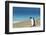 Adult king penguin (Aptenodytes patagonicus) on the grassy slopes of Saunders Island, Falkland Isla-Michael Nolan-Framed Photographic Print