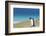 Adult king penguin (Aptenodytes patagonicus) on the grassy slopes of Saunders Island, Falkland Isla-Michael Nolan-Framed Photographic Print