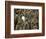 Adult King Penguin with Group of Juveniles-Darrell Gulin-Framed Photographic Print