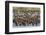 Adult King Penguins and Okum Boy Chicks (Aptenodytes Patagonicus) Heading to Sea in Gold Harbor-Michael Nolan-Framed Photographic Print