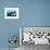 Adult Leopard Seal (Hydrurga Leptonyx) Inspecting the Camera Above and Below Water at Damoy Point-Michael Nolan-Framed Photographic Print displayed on a wall