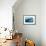 Adult Leopard Seal (Hydrurga Leptonyx) Inspecting the Camera Above and Below Water at Damoy Point-Michael Nolan-Framed Photographic Print displayed on a wall