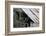 Adult Little Owl (Athene Noctua) Peering Out from an Old Barn-Brent Stephenson-Framed Photographic Print