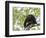 Adult male Black Howler monkey, vocalizing, Community Baboon Sanctuary, Bermudian Landing, Belize-William Sutton-Framed Photographic Print