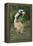 Adult Male Diademed Sifaka (Propithecus Diadema) Between Forest Fragments-Nick Garbutt-Framed Premier Image Canvas