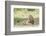 Adult Male Lion Lies on Shaded Grass, Ngorongoro, Tanzania-James Heupel-Framed Photographic Print