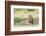 Adult Male Lion Lies on Shaded Grass, Ngorongoro, Tanzania-James Heupel-Framed Photographic Print