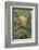 Adult male, lion, Serengeti National Park, Tanzania, Africa-Adam Jones-Framed Photographic Print