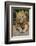 Adult male lions resting on rocky outcropping, Serengeti National Park, Tanzania, Africa-Adam Jones-Framed Photographic Print