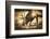 Adult North American Elk-duallogic-Framed Photographic Print