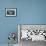 Adult Peale's Dolphin in Heavy Seas Near New Island Nature Reserve, Falkland Islands-Michael Nolan-Framed Photographic Print displayed on a wall