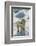 Adult Polar Bear (Ursus Maritimus)-Michael Nolan-Framed Photographic Print