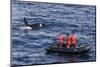 Adult Type a Killer Whale (Orcinus Orca) Surfacing Near Researchers in the Gerlache Strait-Michael Nolan-Mounted Photographic Print