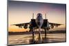 Advanced F-15 fighter-null-Mounted Art Print