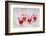 Advent Candles in glasses, still life-Andrea Haase-Framed Photographic Print